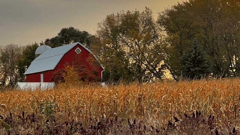 Corcoran Farm
